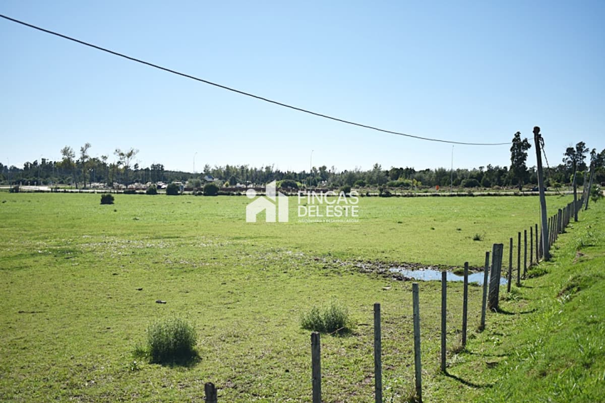 CHACRA SAN CARLOS RUTA 9