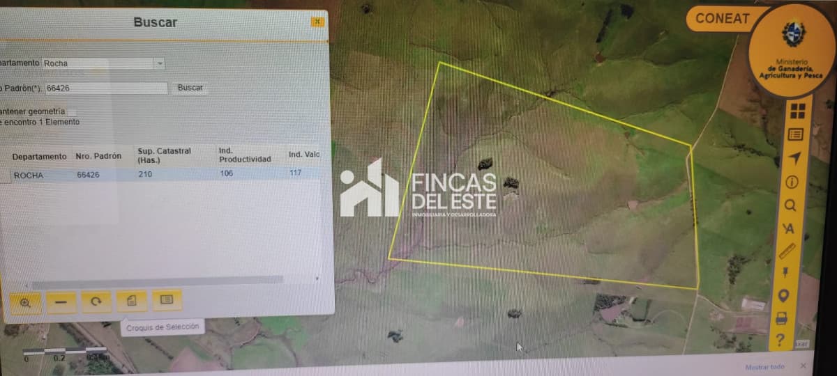 CAPO 210 Ha  Rocha ruta 15  La Paloma  AGRICOLA - GANADERO