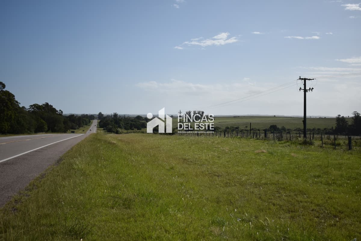Campo Ruta 9  SAN CARLOS