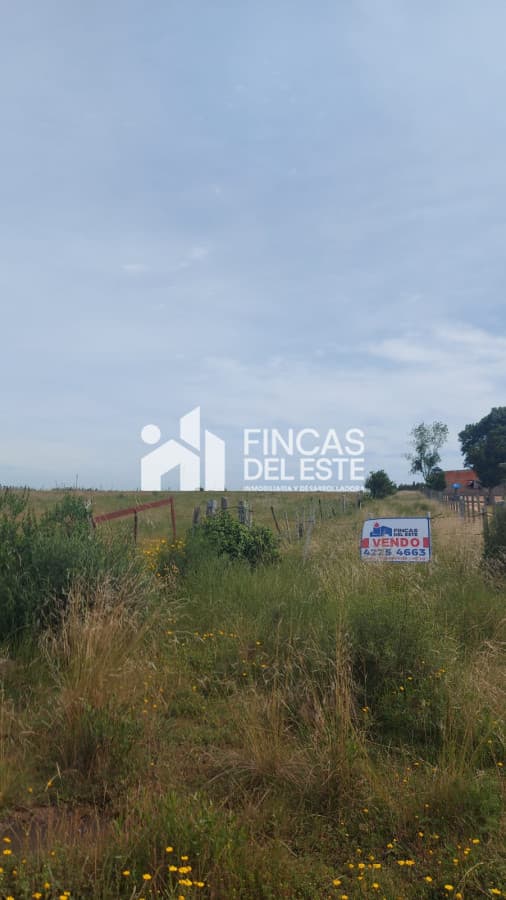 Oportunidad Campo de 16 hectáreas !!