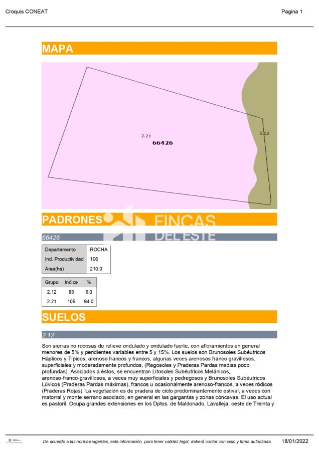 CAPO 210 Ha  Rocha ruta 15  La Paloma  AGRICOLA - GANADERO