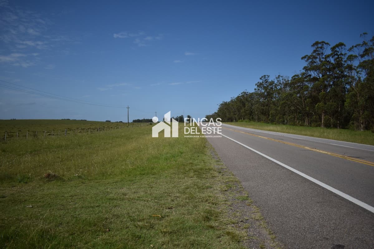 Campo Ruta 9  SAN CARLOS