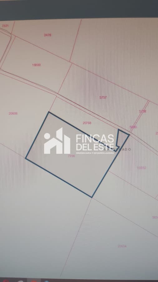 Oportunidad Campo de 16 hectáreas !!