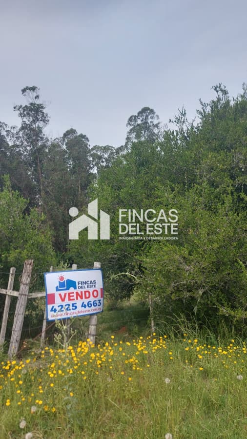 Campo en pueblo Garzón !!