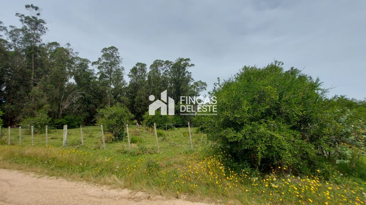 Campo en pueblo Garzón !!
