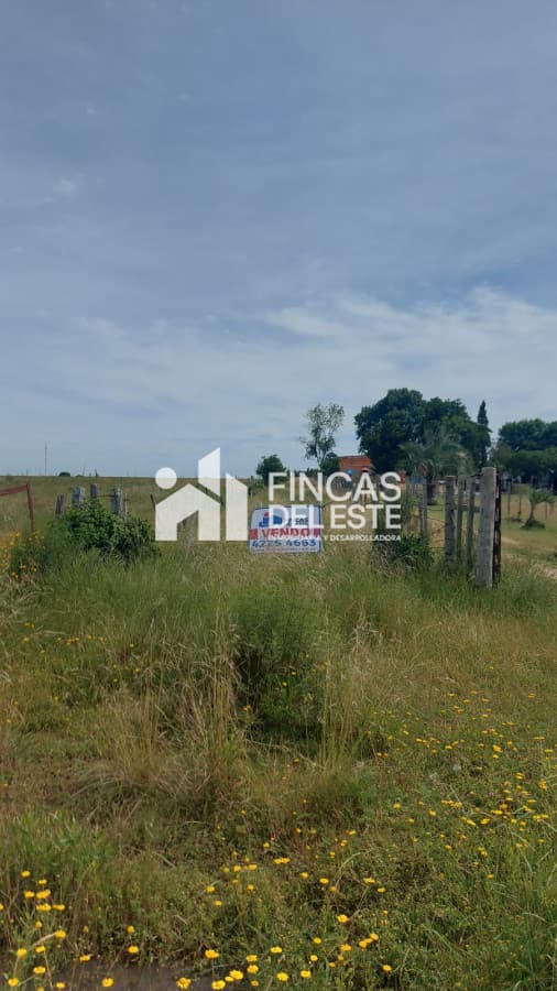 Oportunidad Campo de 16 hectáreas !!