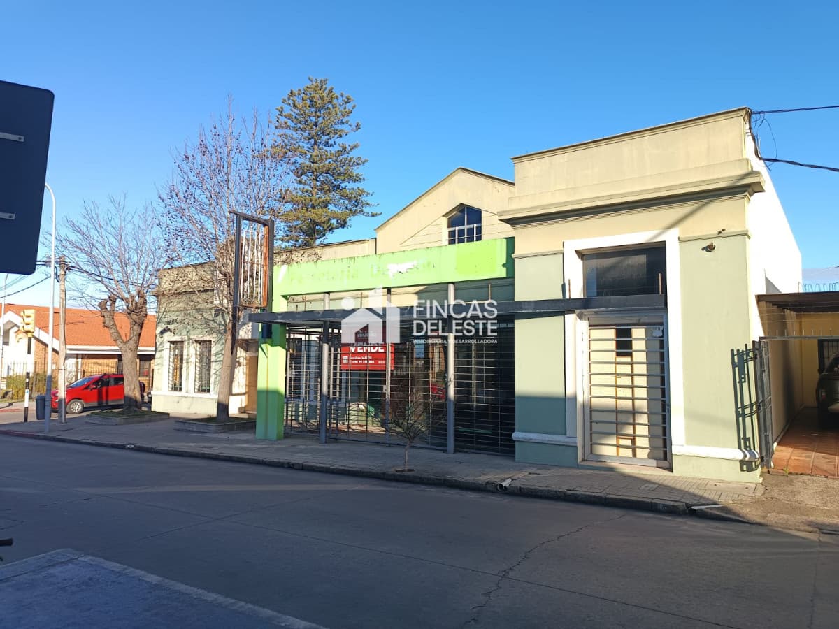 Alquiler de Local Comercial en el Centro de Maldonado