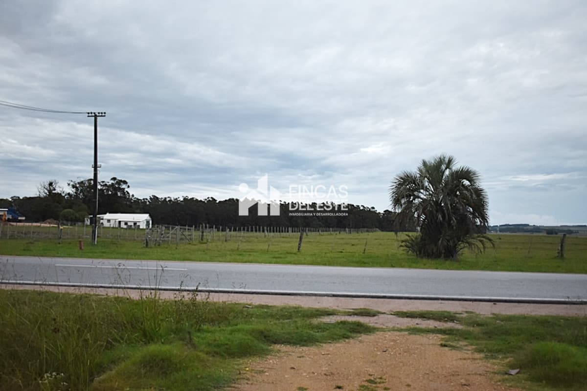 TERRENO RUTA 10  ROCHA