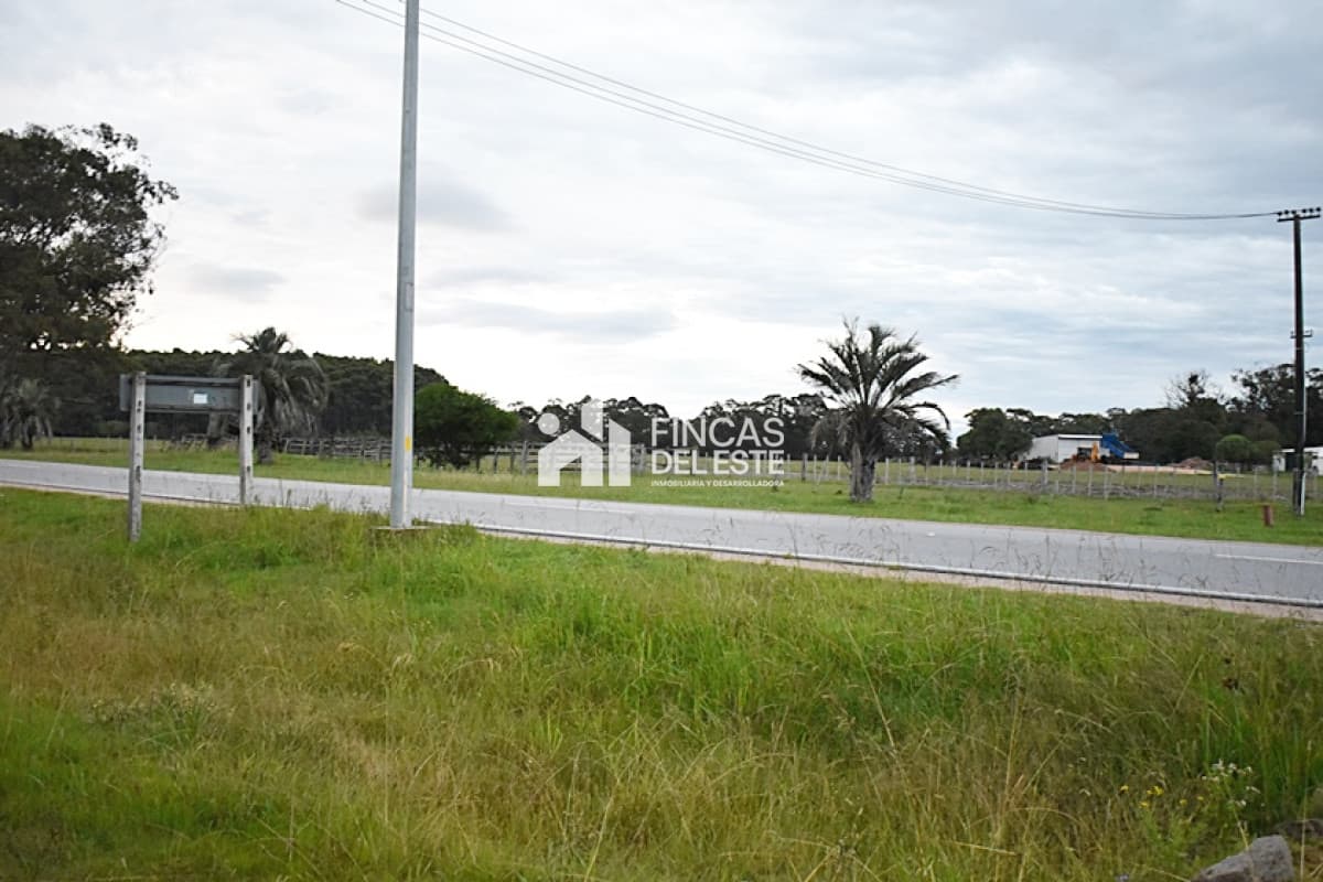TERRENO RUTA 10  ROCHA