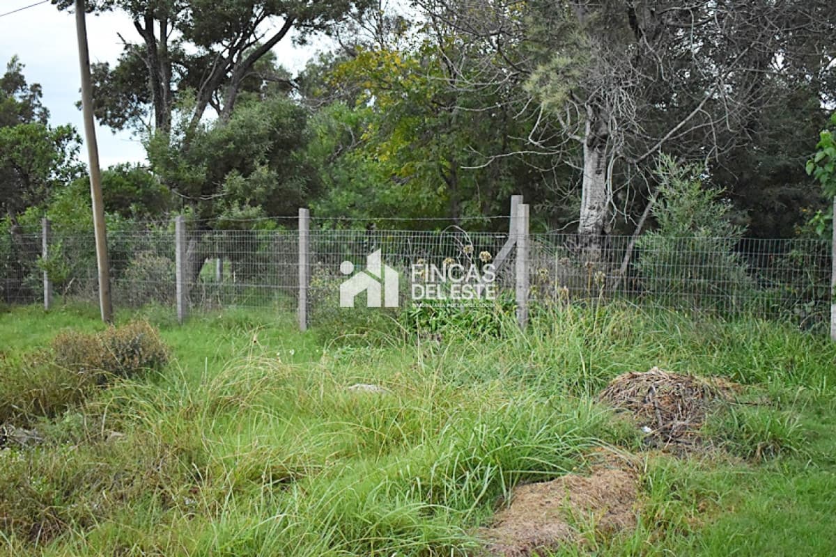 TERRENO RUTA 10  ROCHA
