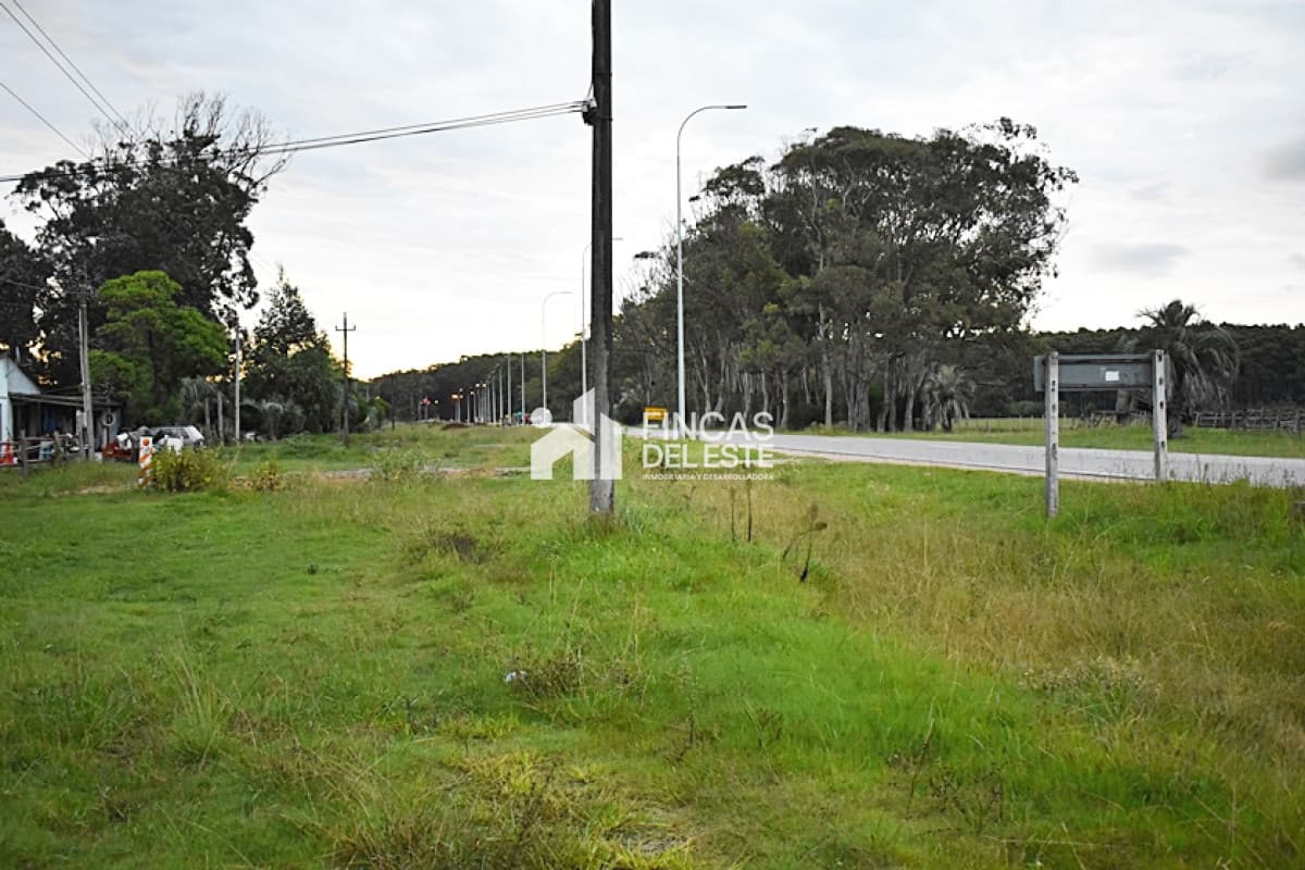 TERRENO RUTA 10  ROCHA