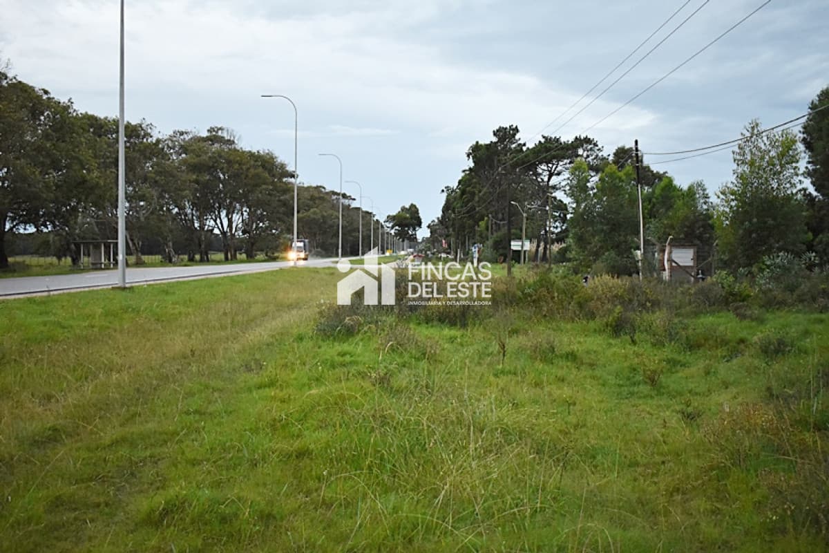 TERRENO RUTA 10  ROCHA