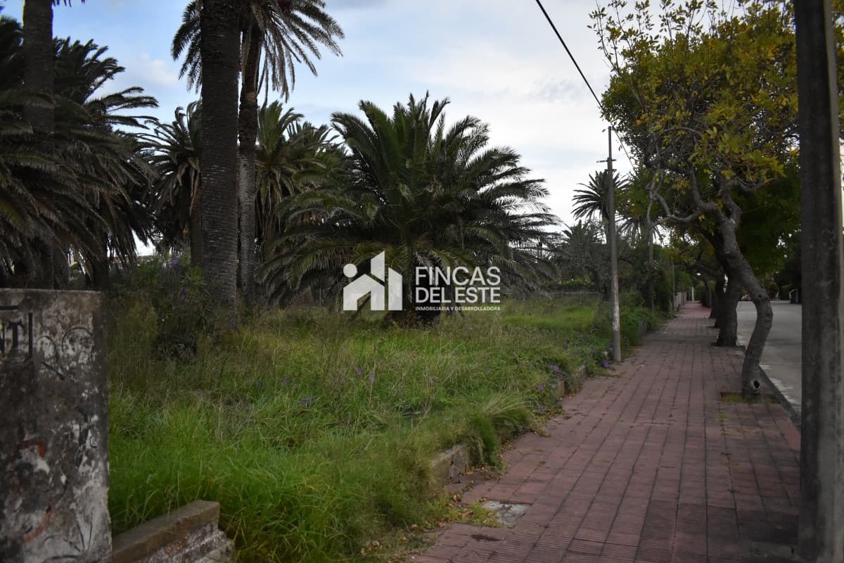 TERRENO EN PENINSULA