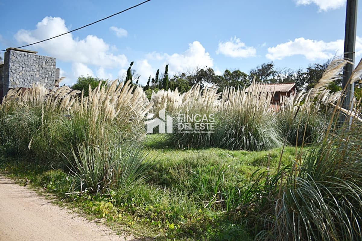 TERRENO EN SANTA MONICA