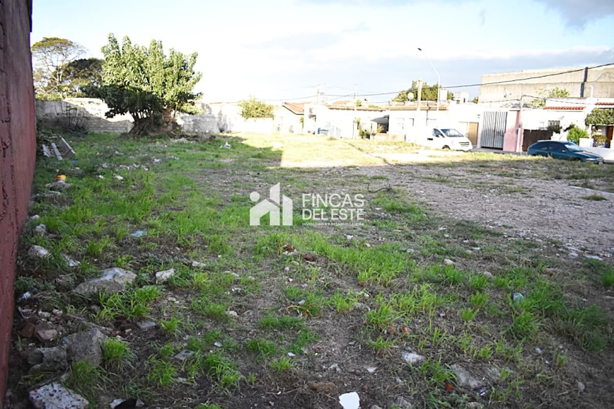TERRENO CENTRO MALDONADO