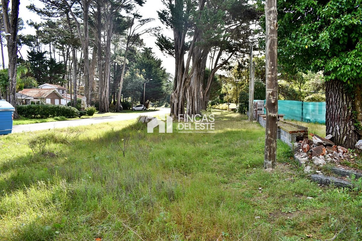 Terreno a pasos del mar