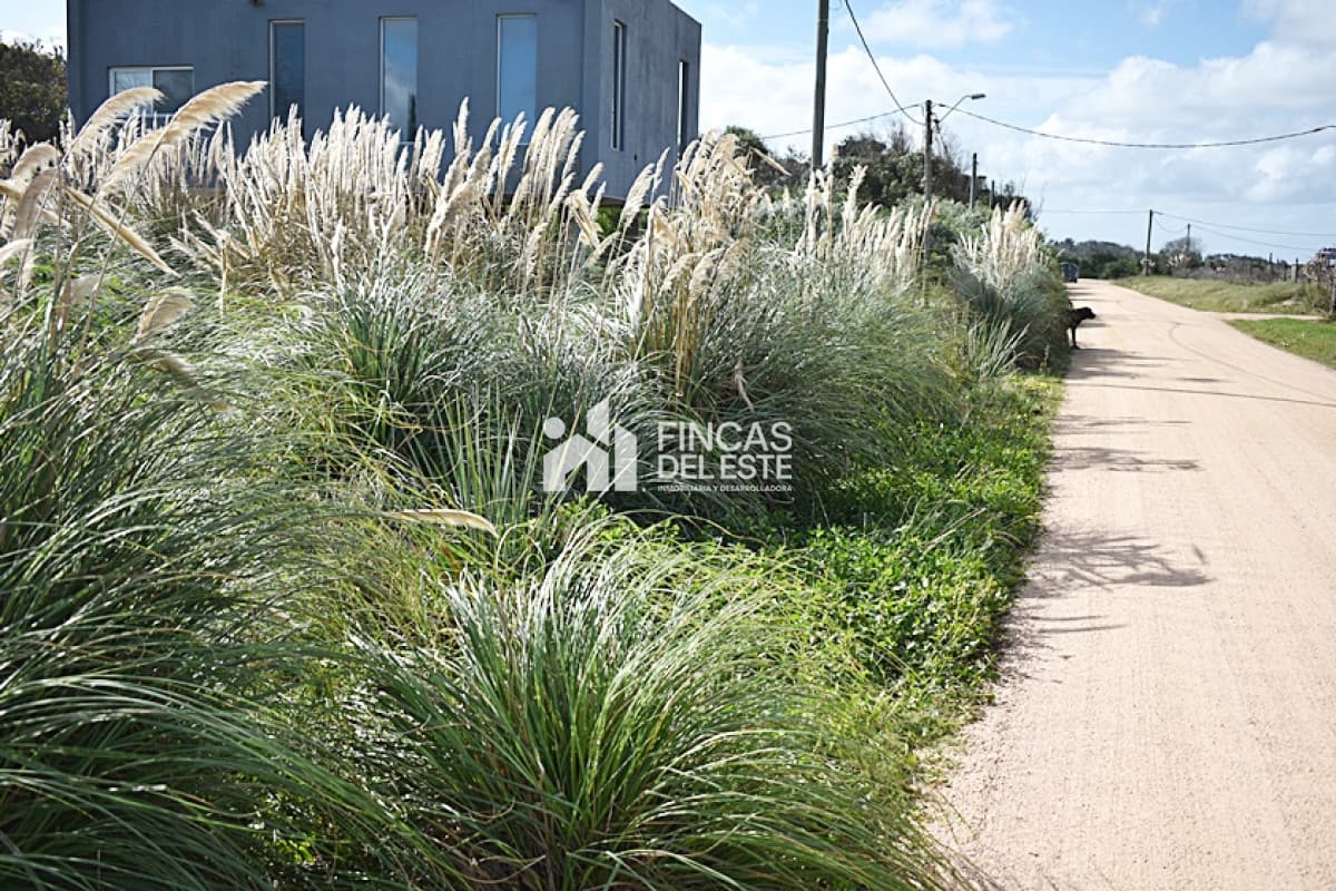 TERRENO EN SANTA MONICA