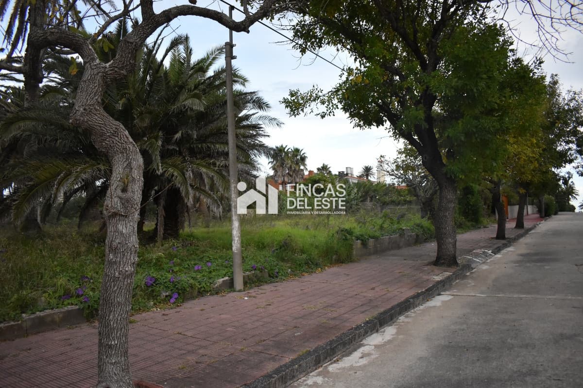 TERRENO EN PENINSULA