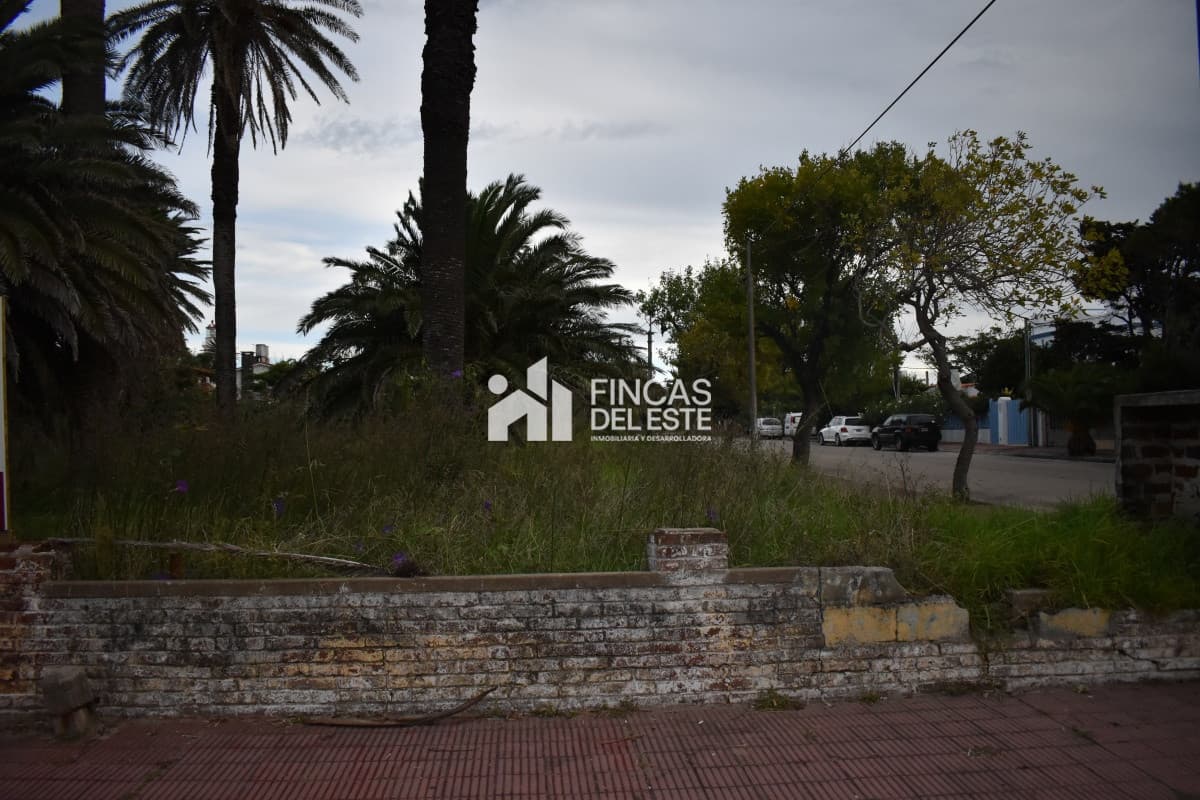 TERRENO EN PENINSULA