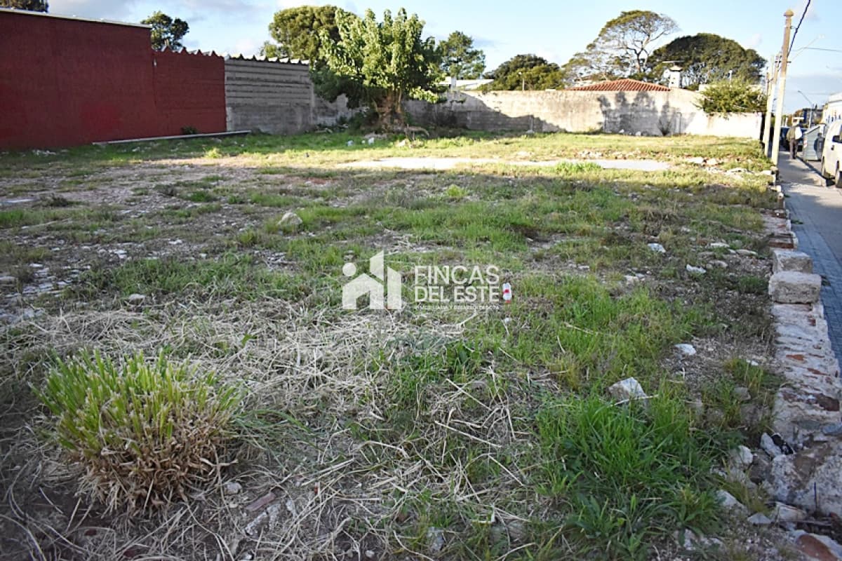 TERRENO CENTRO MALDONADO