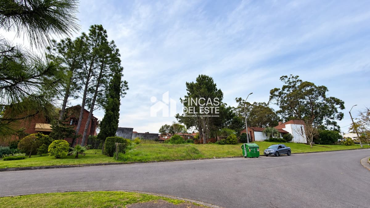 Terreno en pinares- Maldonado