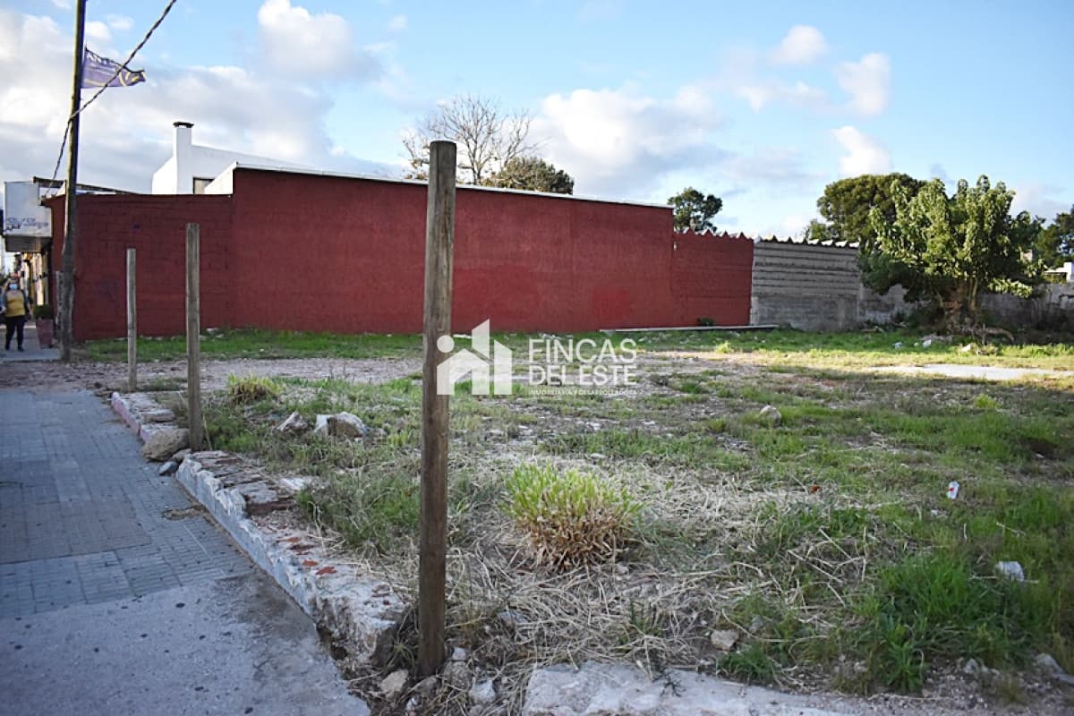 TERRENO CENTRO MALDONADO