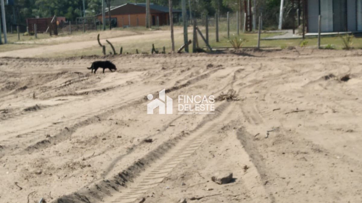 Hermoso terreno en primera linea!!