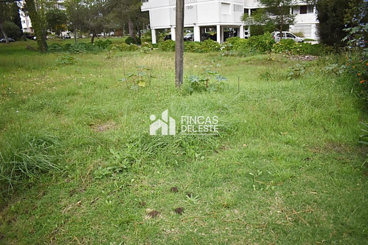 TERRENO en Roosevelt.