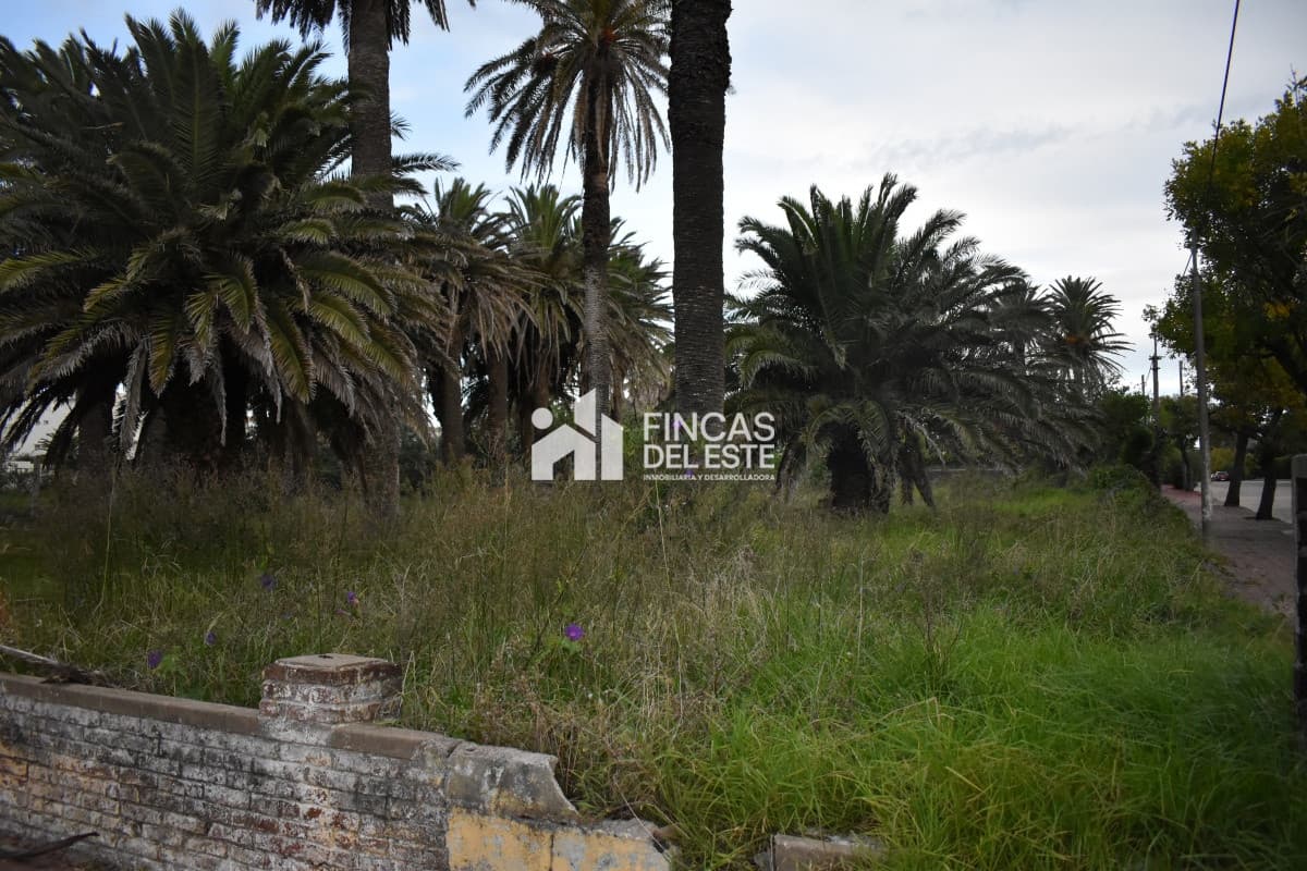 TERRENO EN PENINSULA