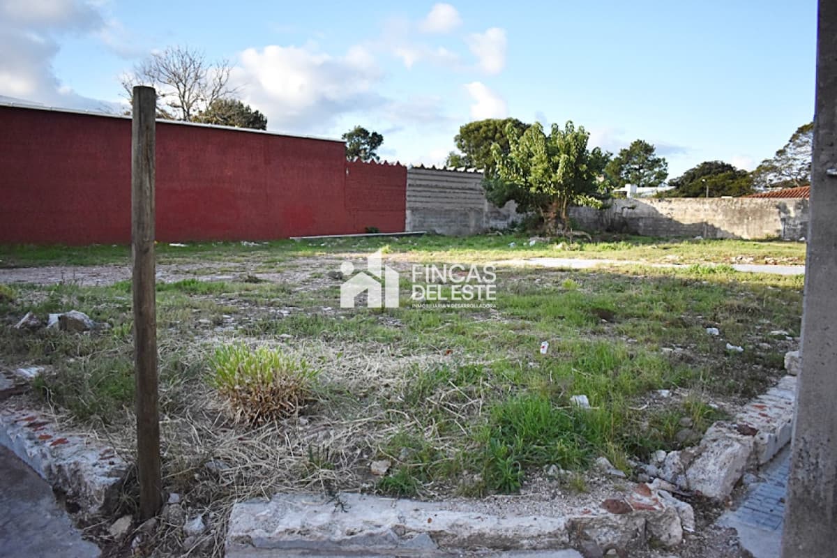 TERRENO CENTRO MALDONADO