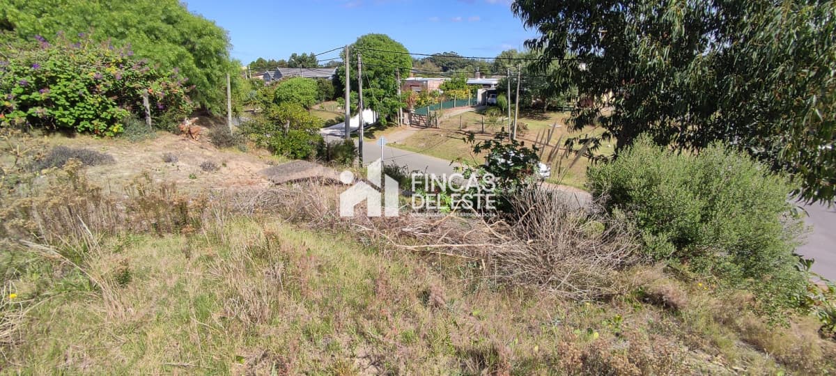 Terreno Zona SAUSALITO 660 Mts