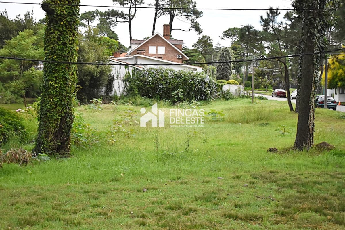 TERRENO en Roosevelt.