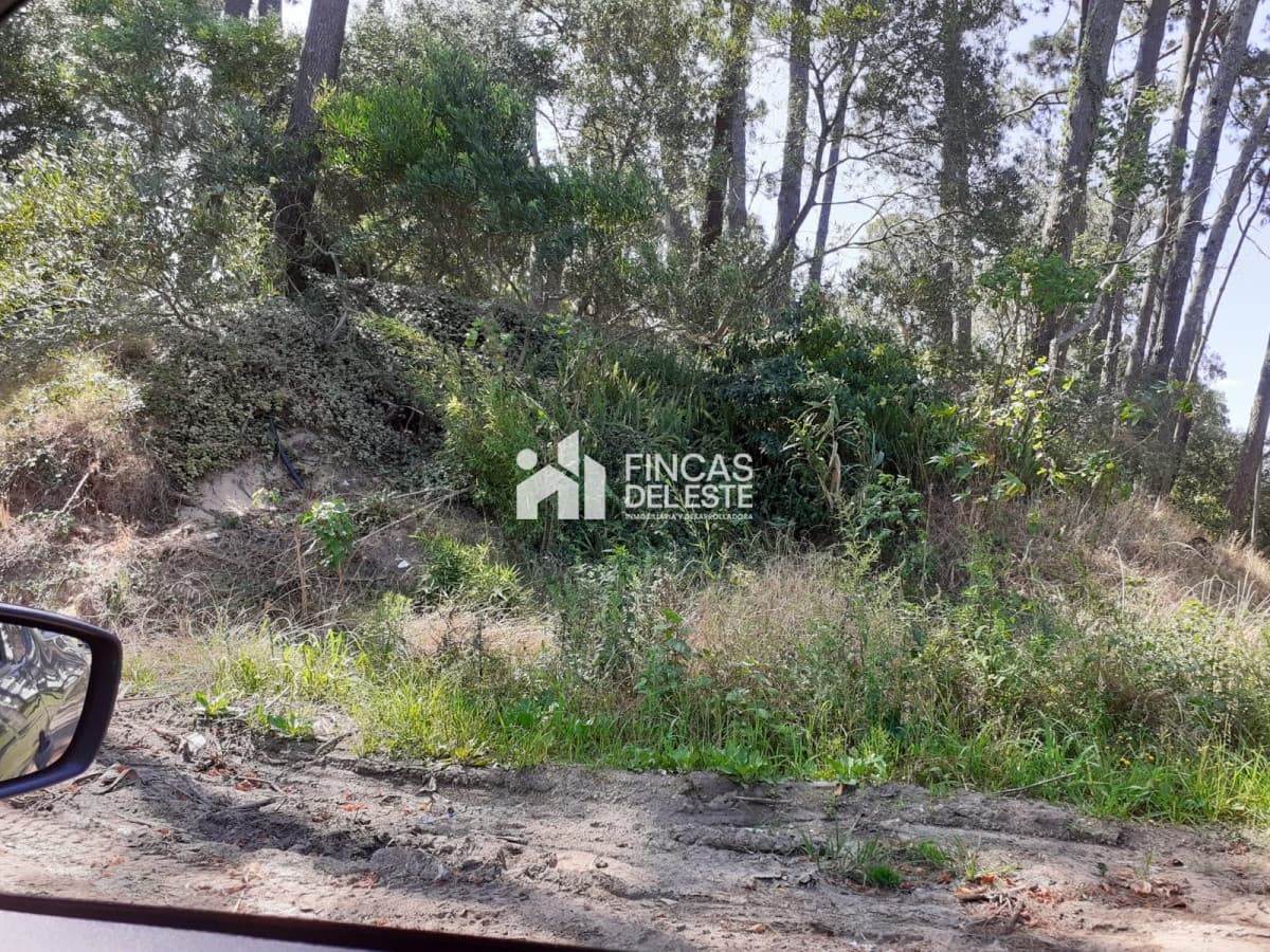 Terreno ideal para construir!