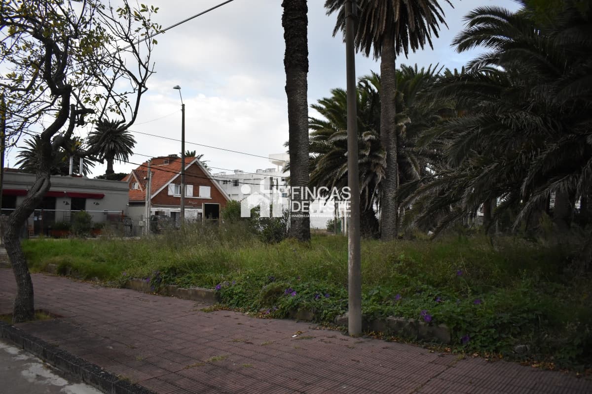 TERRENO EN PENINSULA