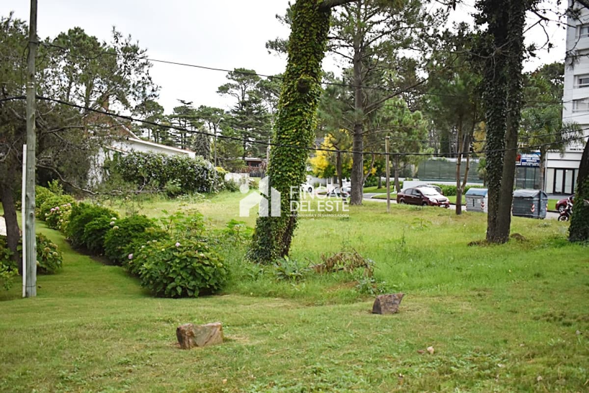 TERRENO en Roosevelt.