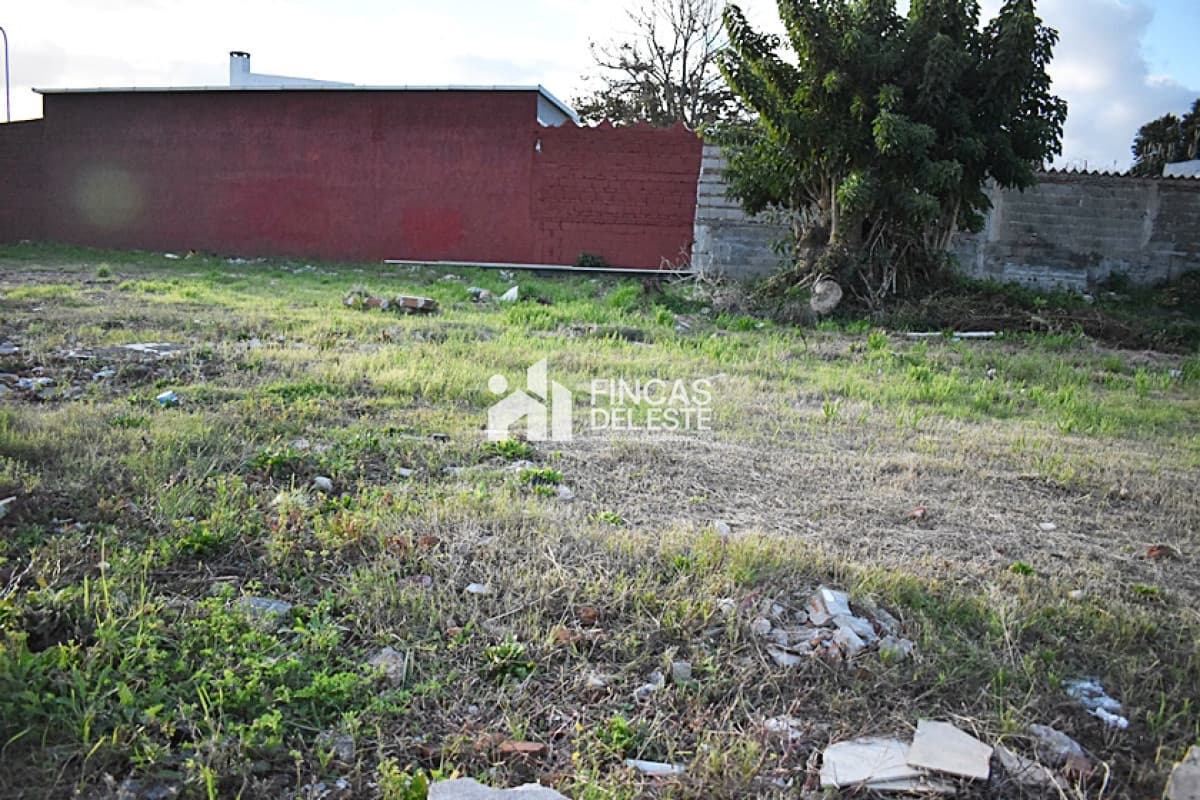 TERRENO CENTRO MALDONADO