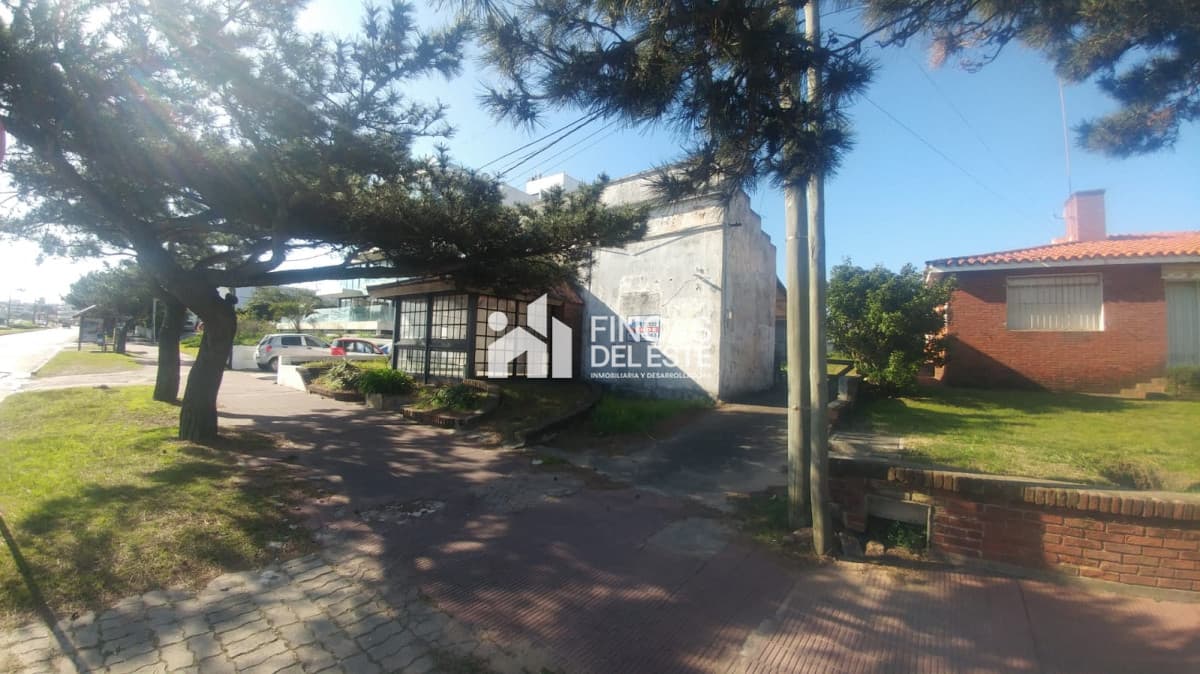 Parada 24