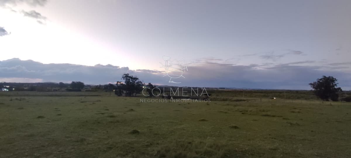 Chacra de 5 Hectáreas sobre Ruta 39