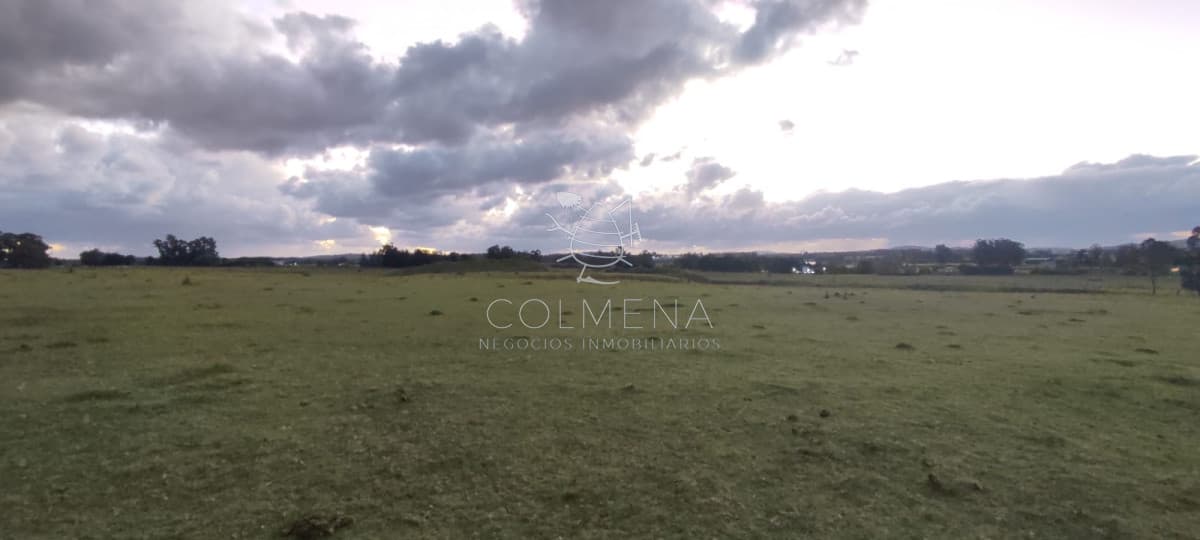 Chacra de 5 Hectáreas sobre Ruta 39