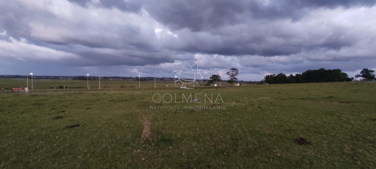 Chacra de 5 Hectáreas sobre Ruta 39