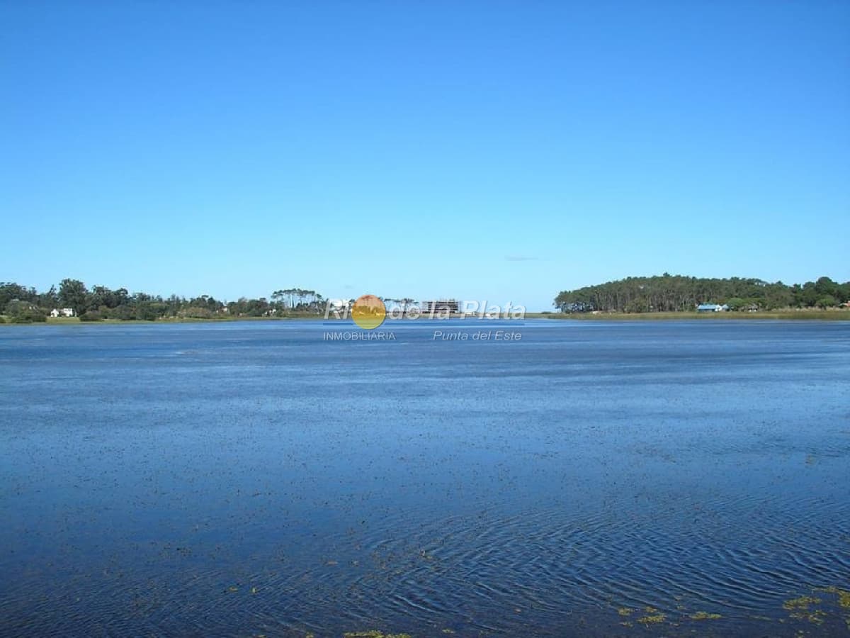 Laguna del Diario