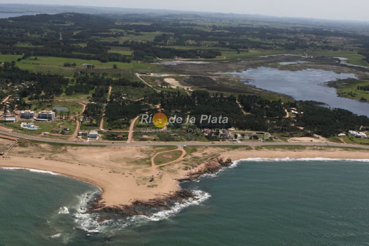 Laguna del Diario