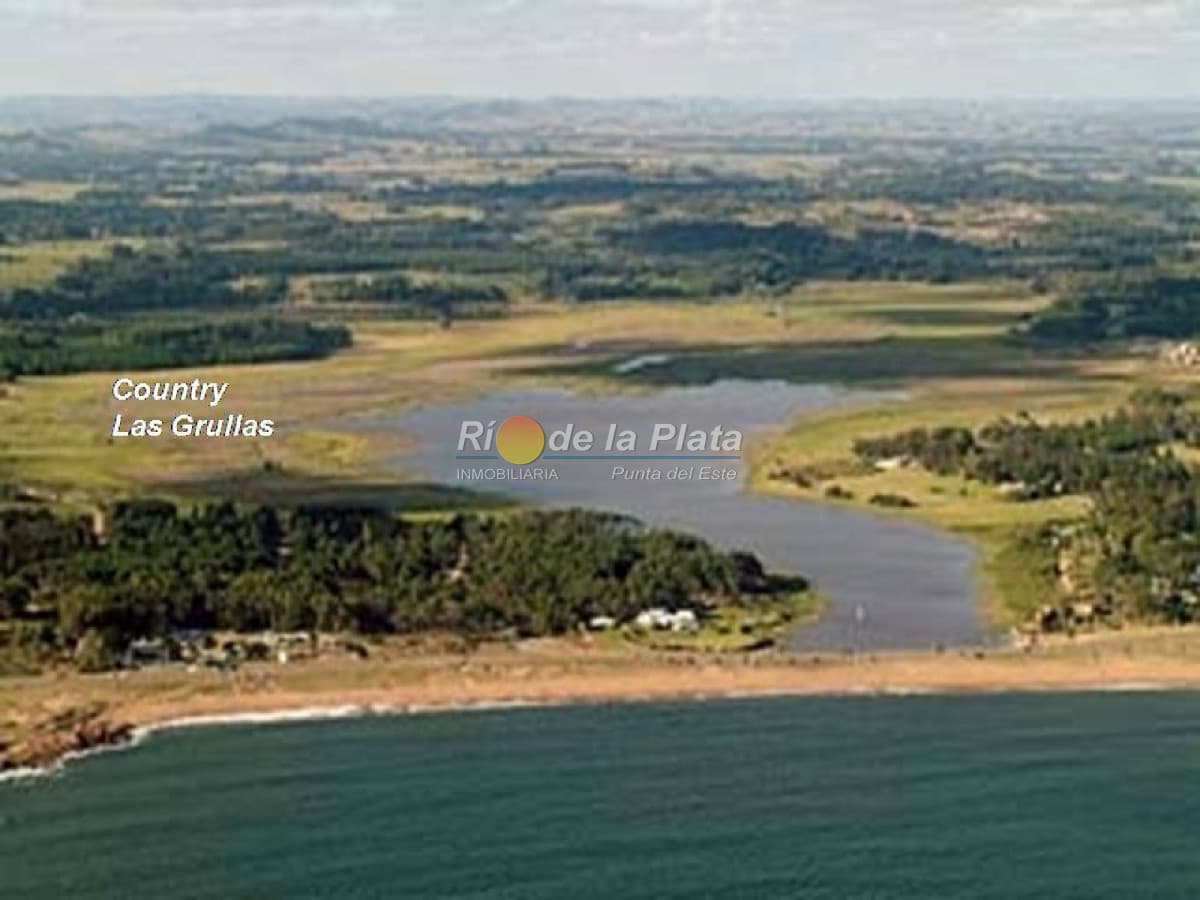 Laguna del Diario