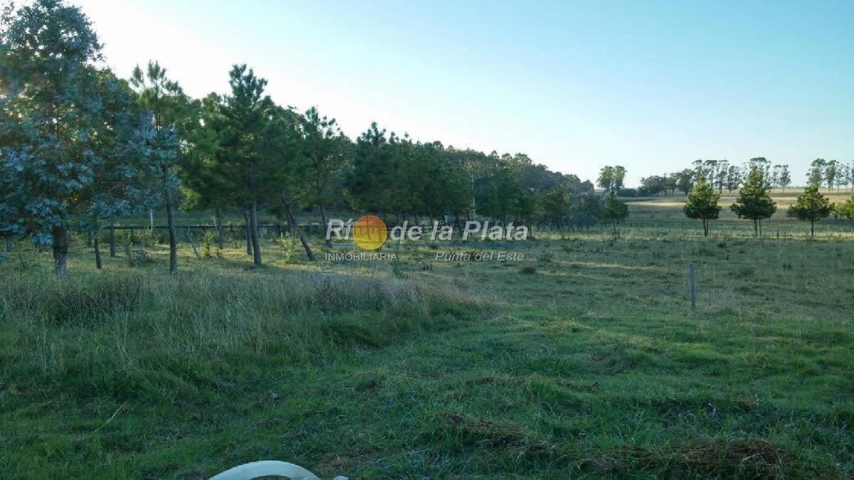 Chacra de 25 hás. con casa finamente decorada.