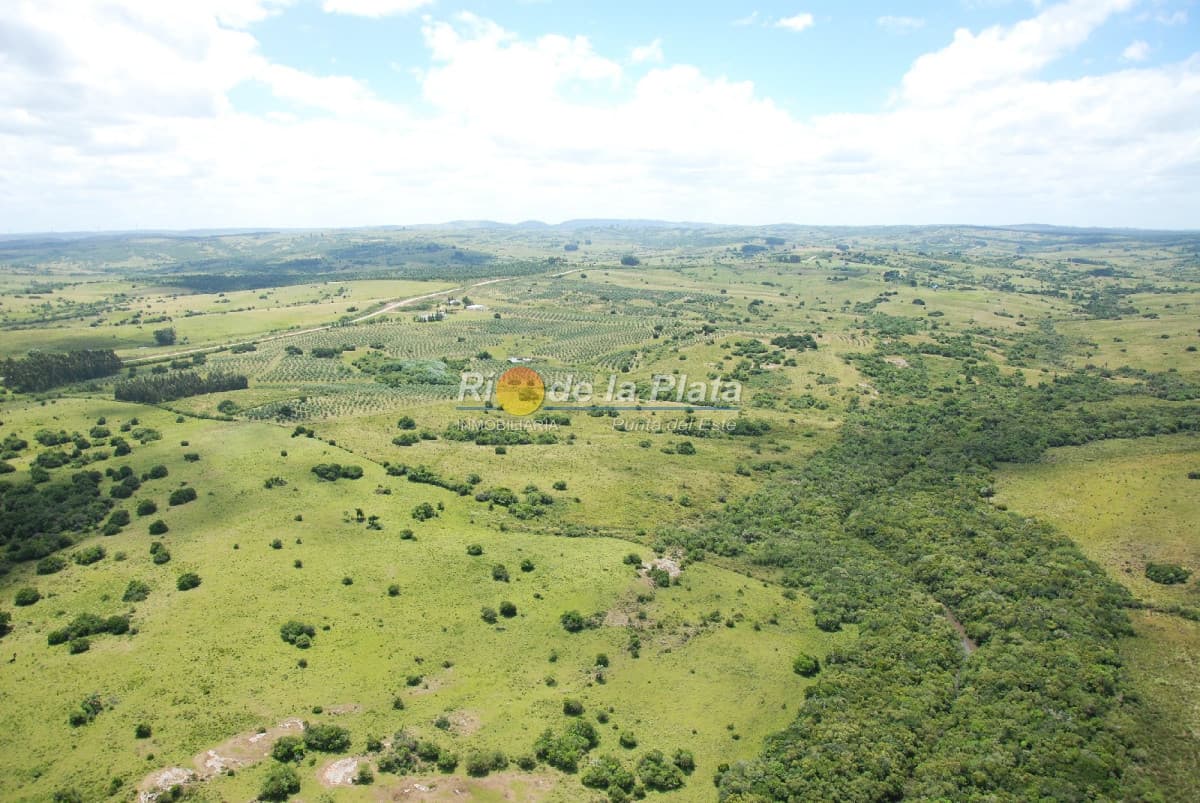 Chacra en Paraje Las Cañas