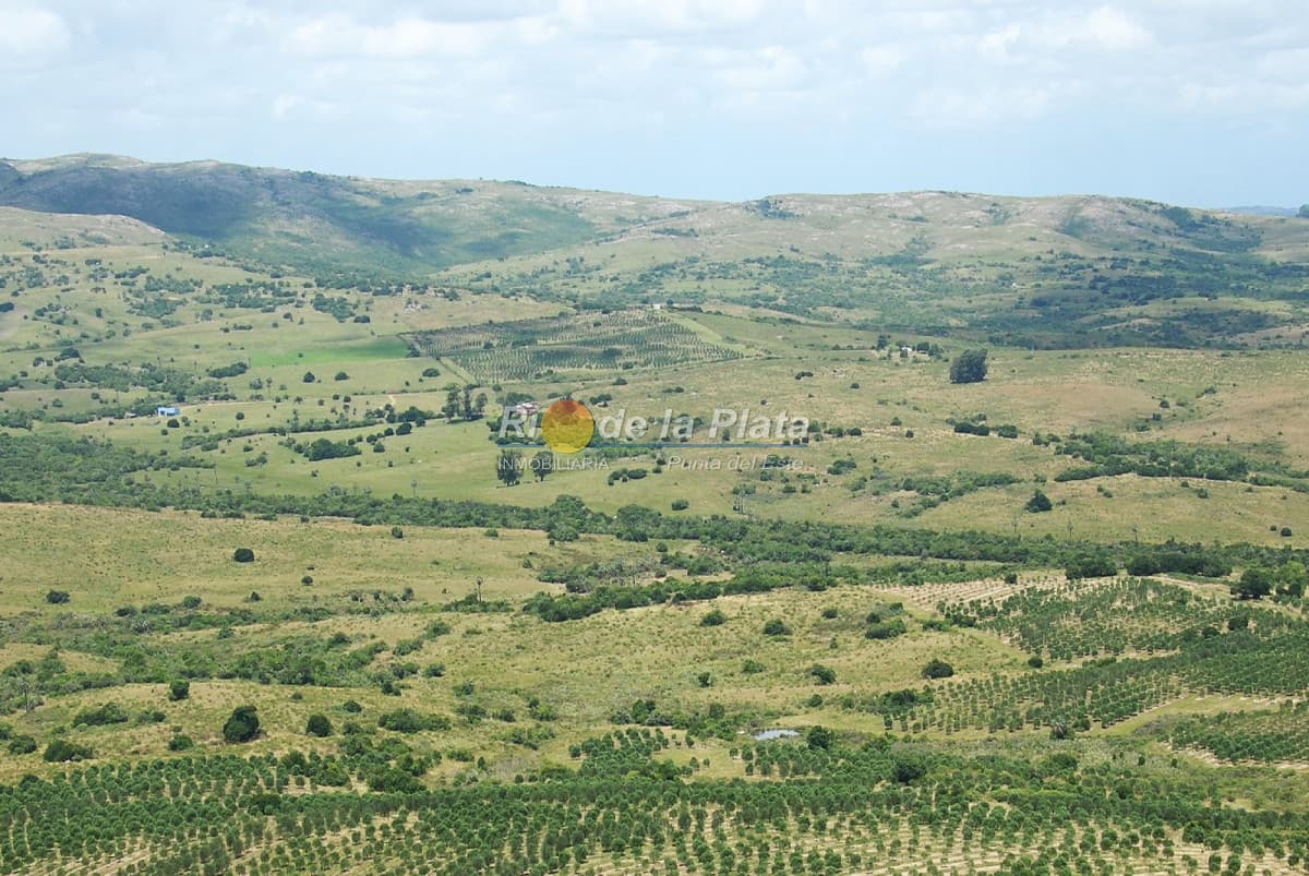 Chacra en Paraje Las Cañas
