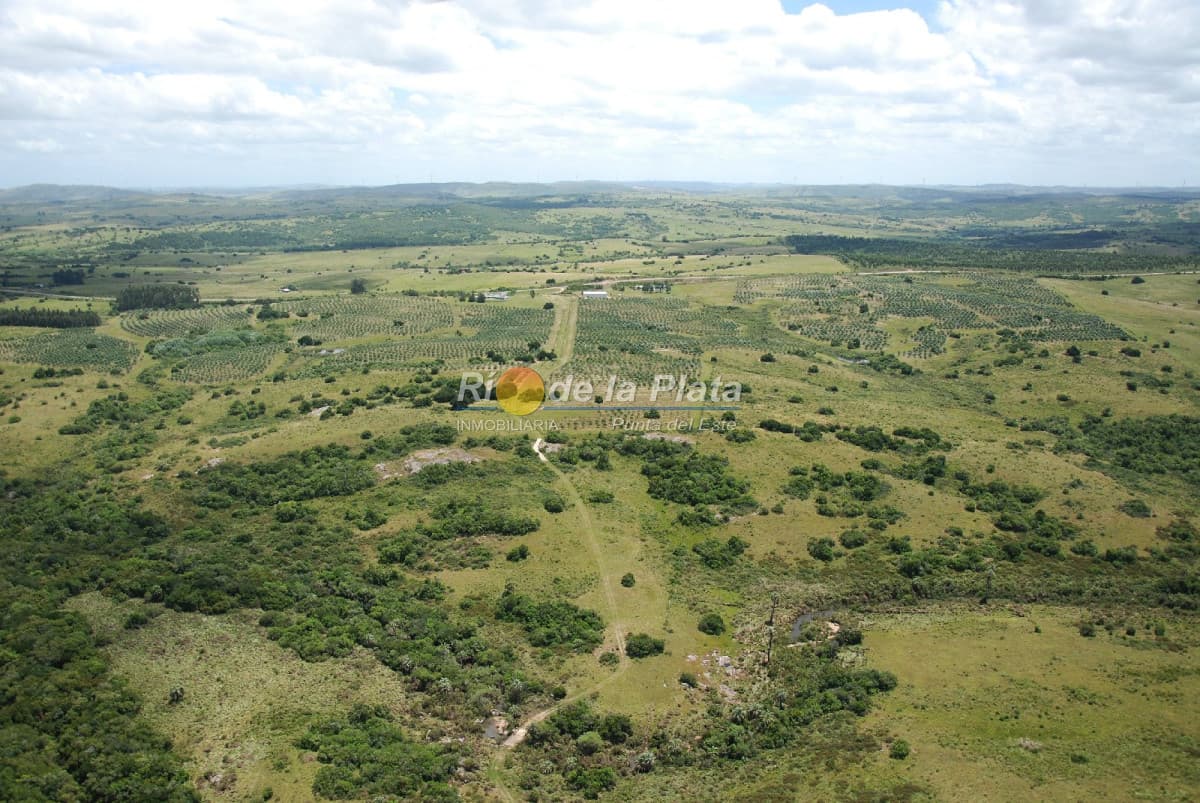 Chacra en Paraje Las Cañas