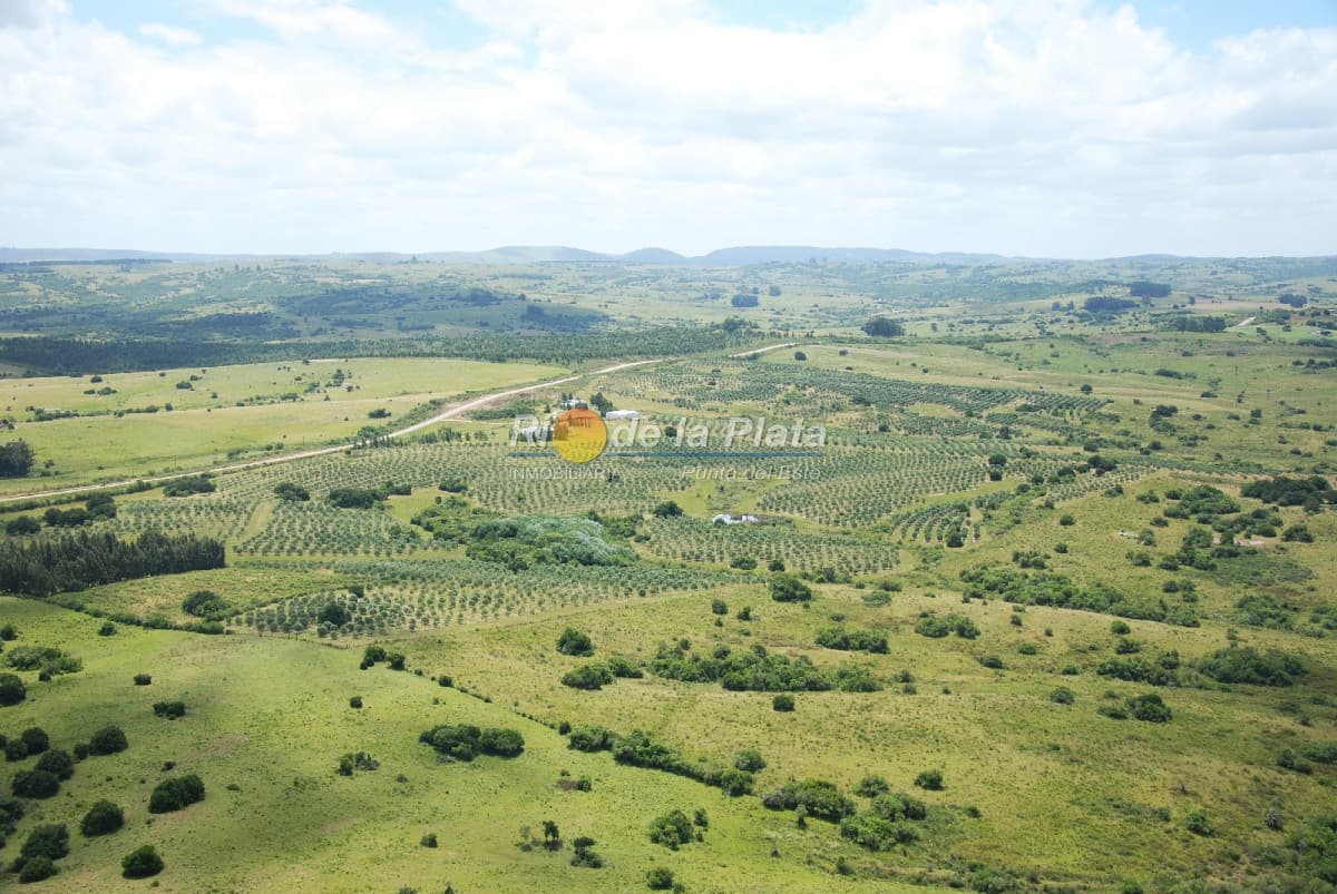 Chacra en Paraje Las Cañas