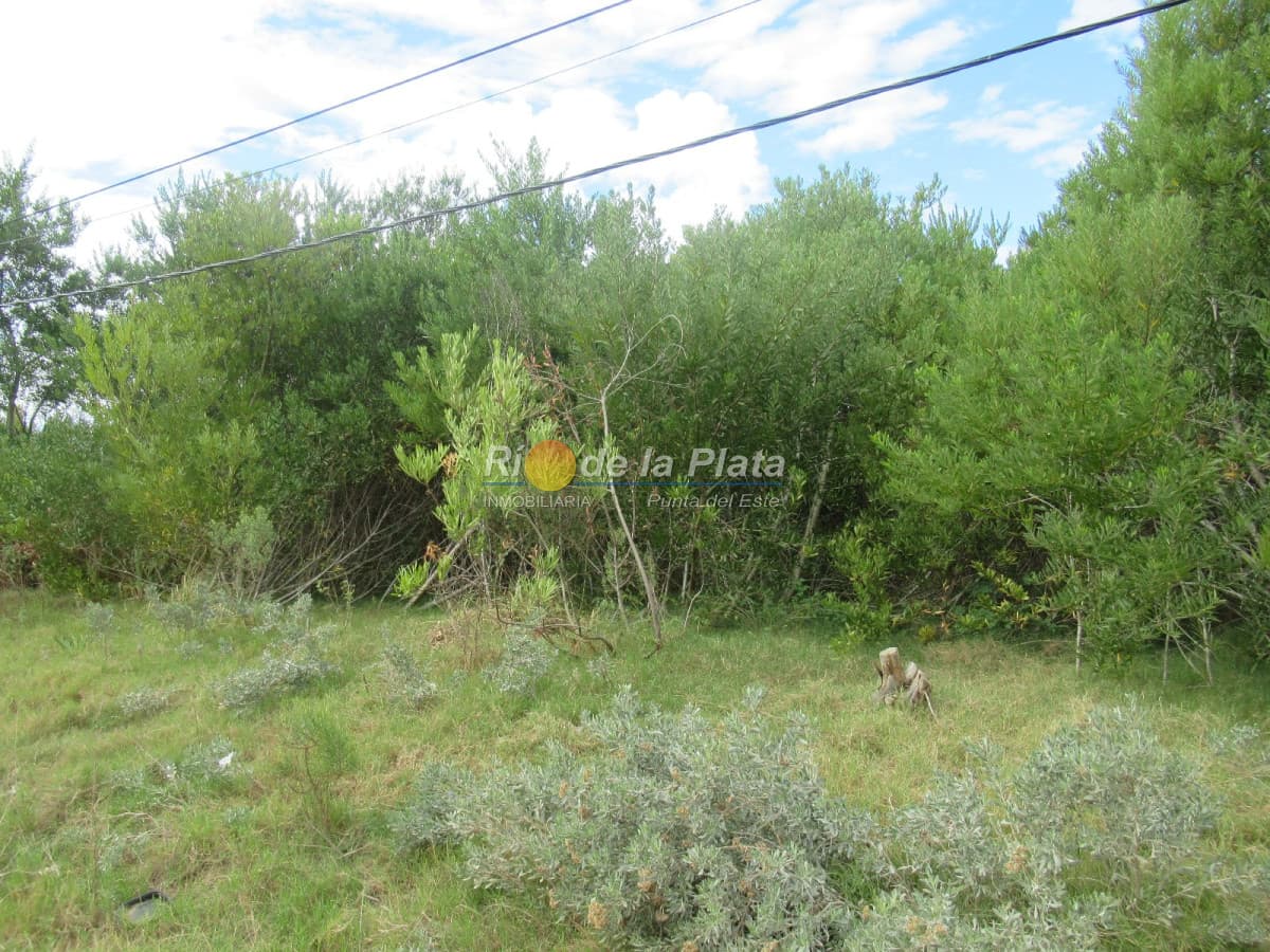 Terreno apto para construcción en propiedad horizontal