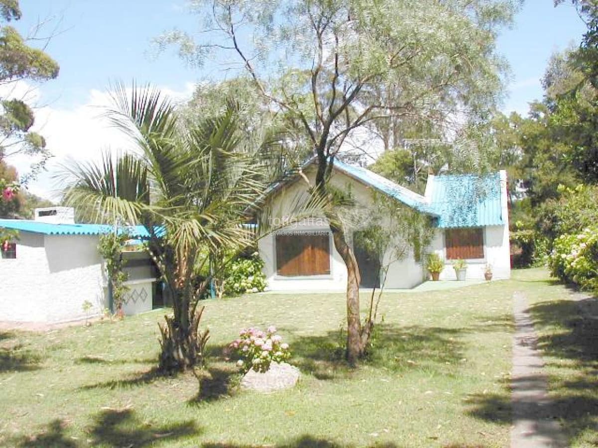 Los Palitos